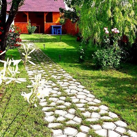 Casa Pavel Jurilovca Βίλα Εξωτερικό φωτογραφία