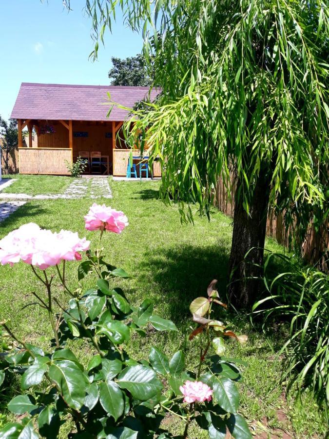 Casa Pavel Jurilovca Βίλα Εξωτερικό φωτογραφία