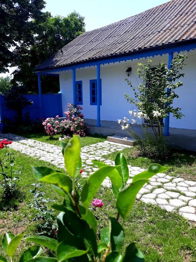 Casa Pavel Jurilovca Βίλα Εξωτερικό φωτογραφία