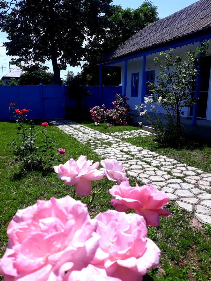 Casa Pavel Jurilovca Βίλα Εξωτερικό φωτογραφία
