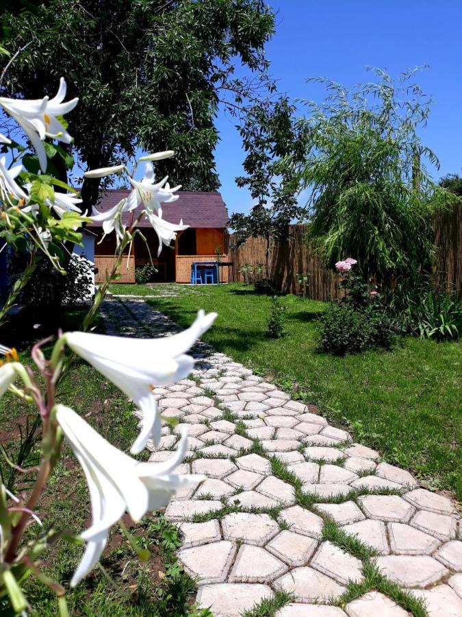 Casa Pavel Jurilovca Βίλα Εξωτερικό φωτογραφία
