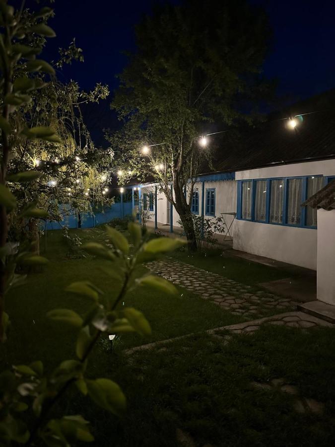 Casa Pavel Jurilovca Βίλα Εξωτερικό φωτογραφία